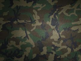 Camouflage PPT Backgrounds - Download free Camouflage Powerpoint Templates