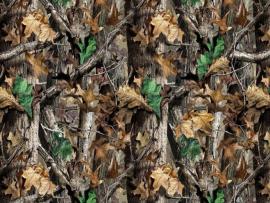 Camouflage PPT Backgrounds - Download free Camouflage Powerpoint Templates