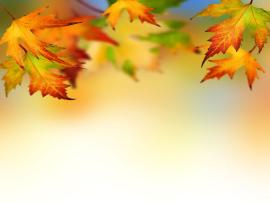 Autumn PPT Backgrounds - Download free Autumn Powerpoint Templates