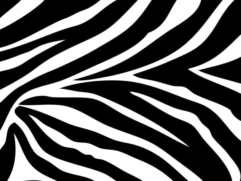And White Zebra Print Wall Border and Border Clip Art Backgrounds for ...