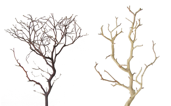 Branches Template Backgrounds for Powerpoint Templates - PPT Backgrounds