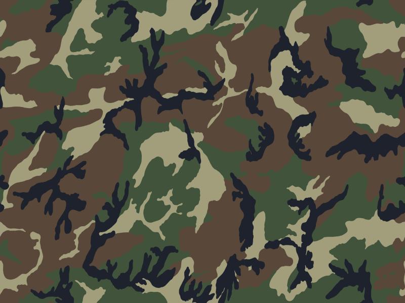 Camouflage pattern Backgrounds for Powerpoint Templates - PPT Backgrounds