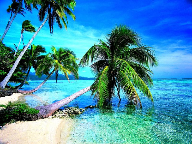 Download Tropical Beach Imagess Desktop For Clipart Backgrounds for ...