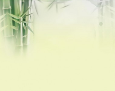 Green Bamboo Template Nature For PowerPoint Templates Picture ...