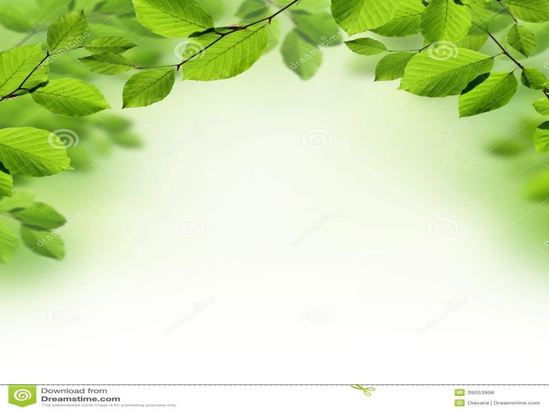Leaf Border Clipart Backgrounds for Powerpoint Templates - PPT Backgrounds