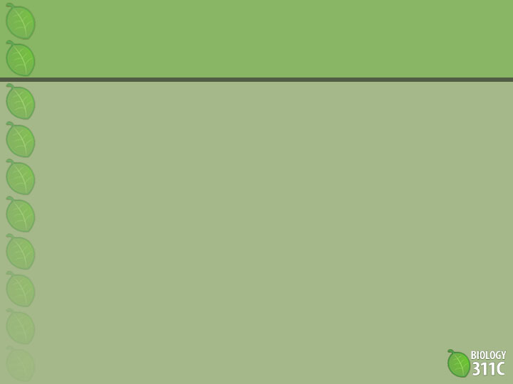 Тема для презентации в powerpoint биология