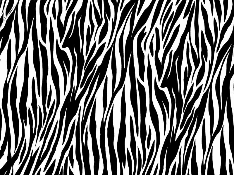Pics Photos Zebra Print Frame Backgrounds for Powerpoint Templates ...