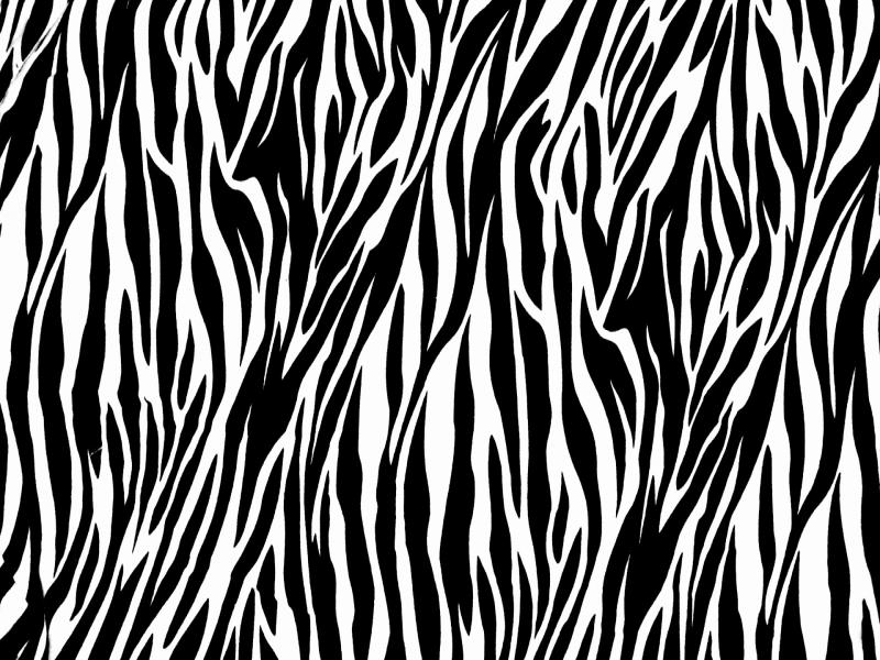 Pics Photos  Zebra Print Frame Backgrounds