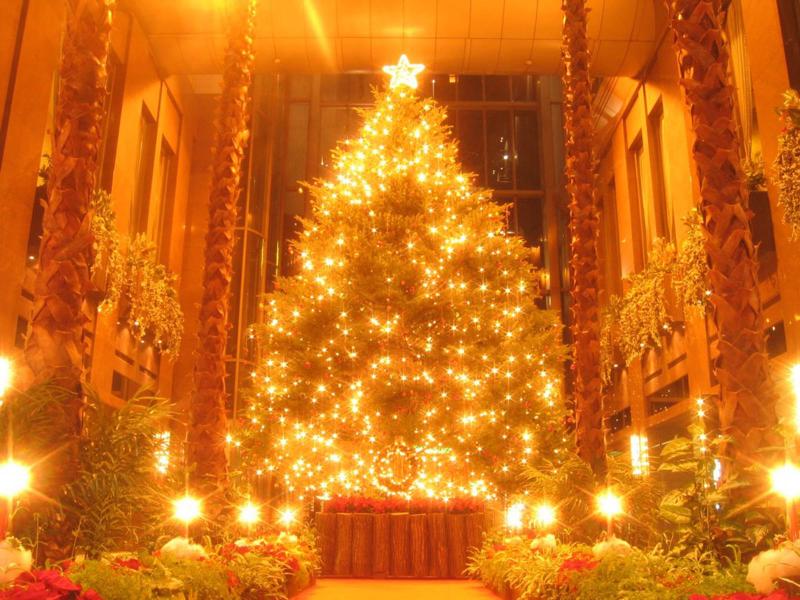Tag Christmas Tree Deration Photos Imagess Pictures Photo Backgrounds ...