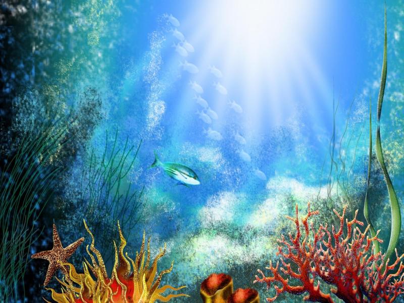 Underwater World Hd Picture Backgrounds for Powerpoint Templates - PPT ...