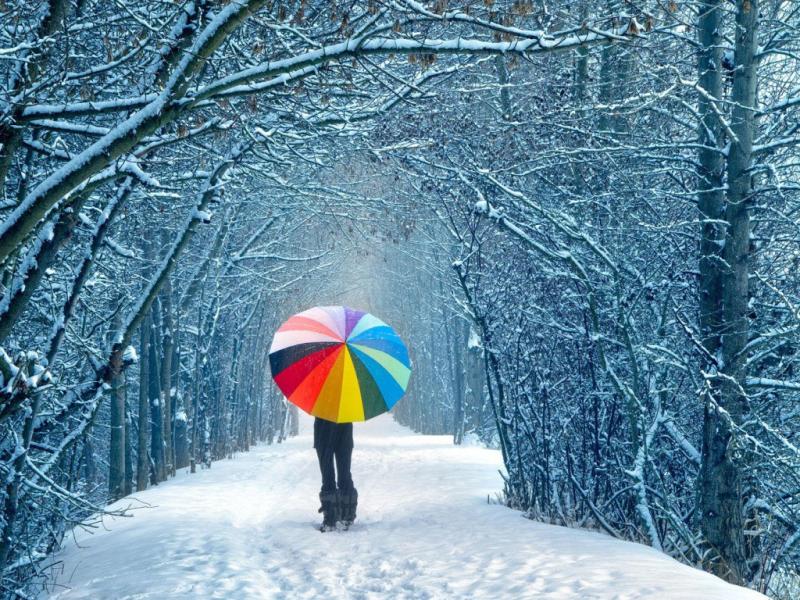 Winter Winter Download Backgrounds