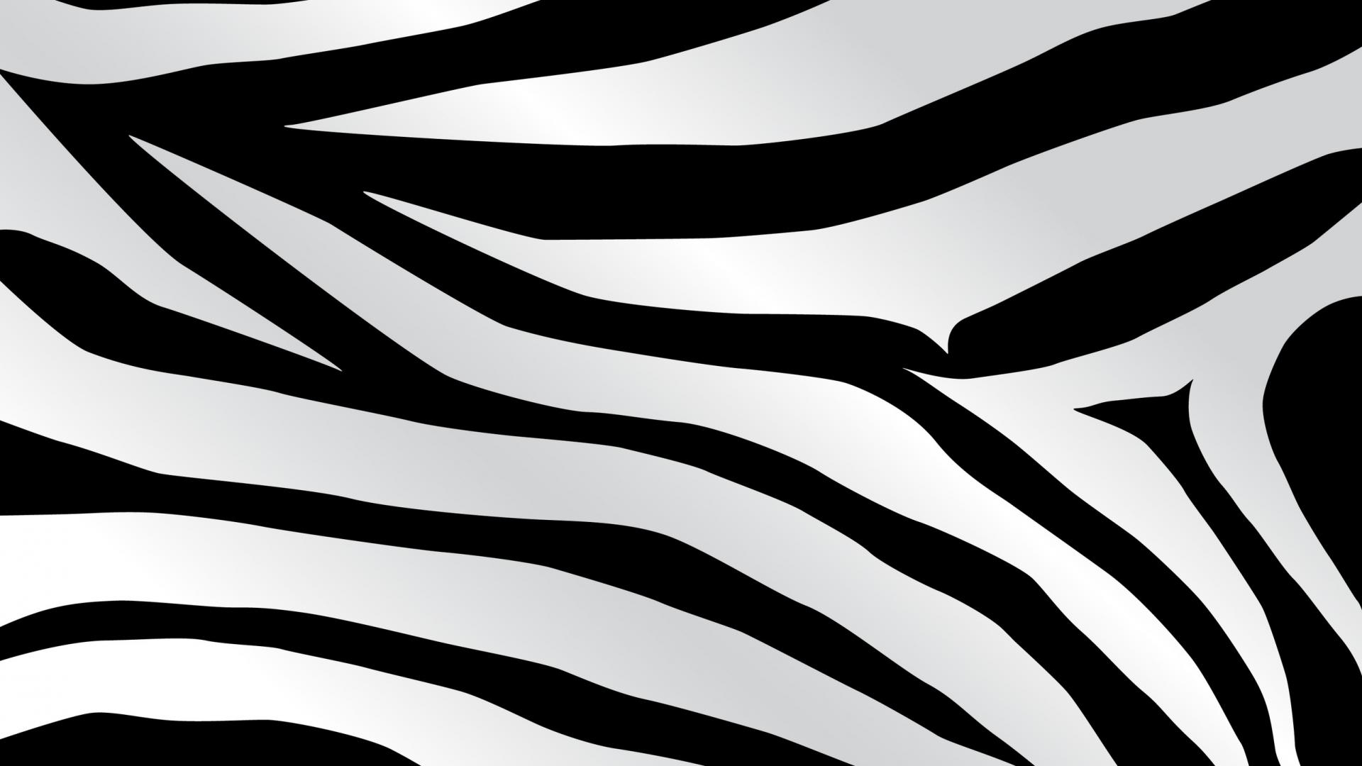 Zebra Slide Backgrounds for Powerpoint Templates - PPT Backgrounds